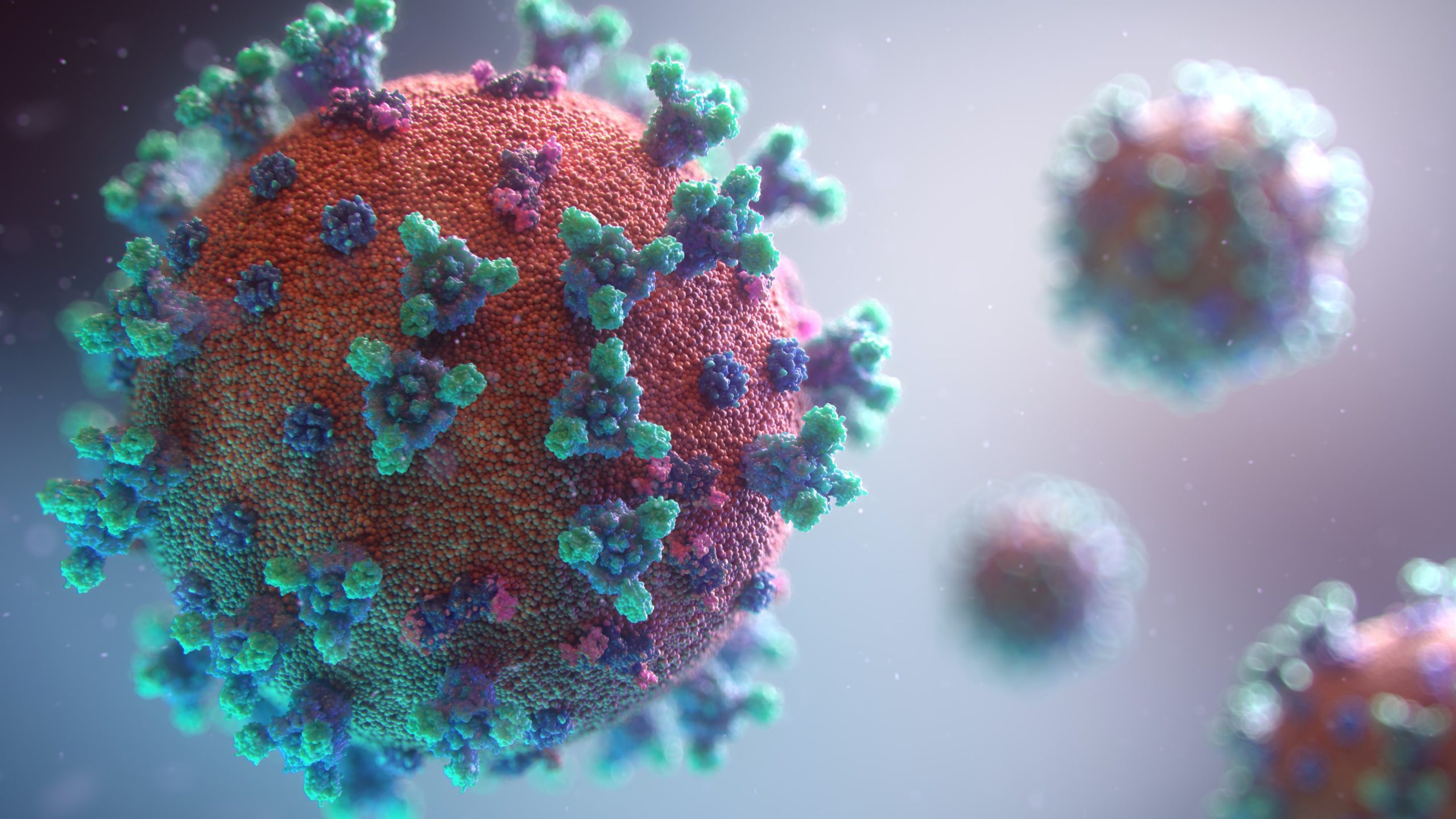 A growing number of studies show that the new coronavirus infection leaves behind traces such as a significant drop in IQ scores