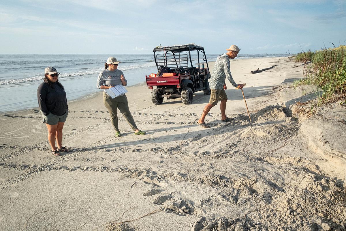 Glynn brings turtle-friendly lighting plan to residents