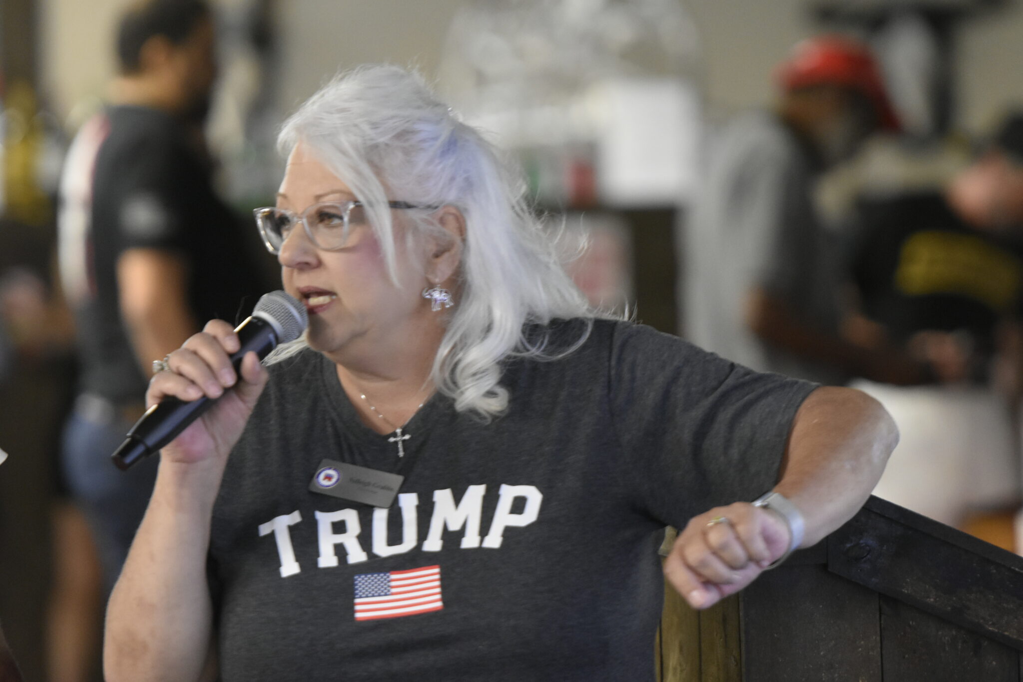 Georgia GOP official, elections activist named to State Election Board