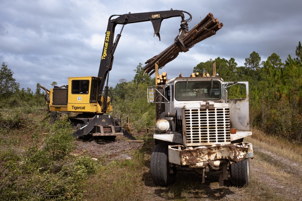 Justin Taylor/The Current GA/CatchLight Local/Report for America