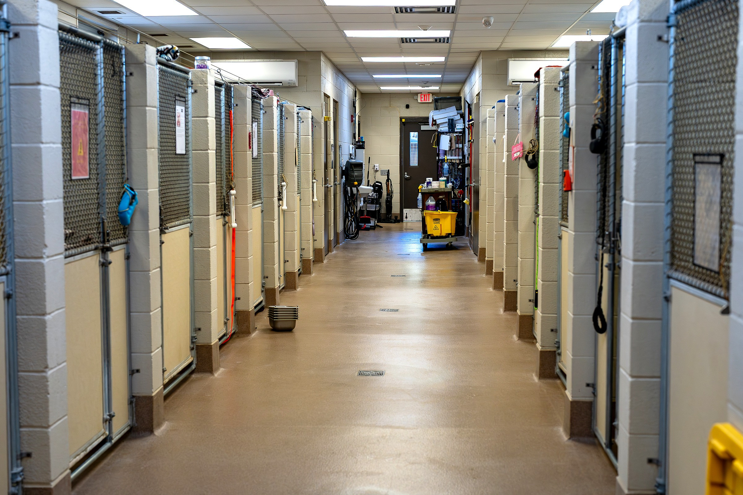 Georgia imposes fines, training for Liberty County Animal Control