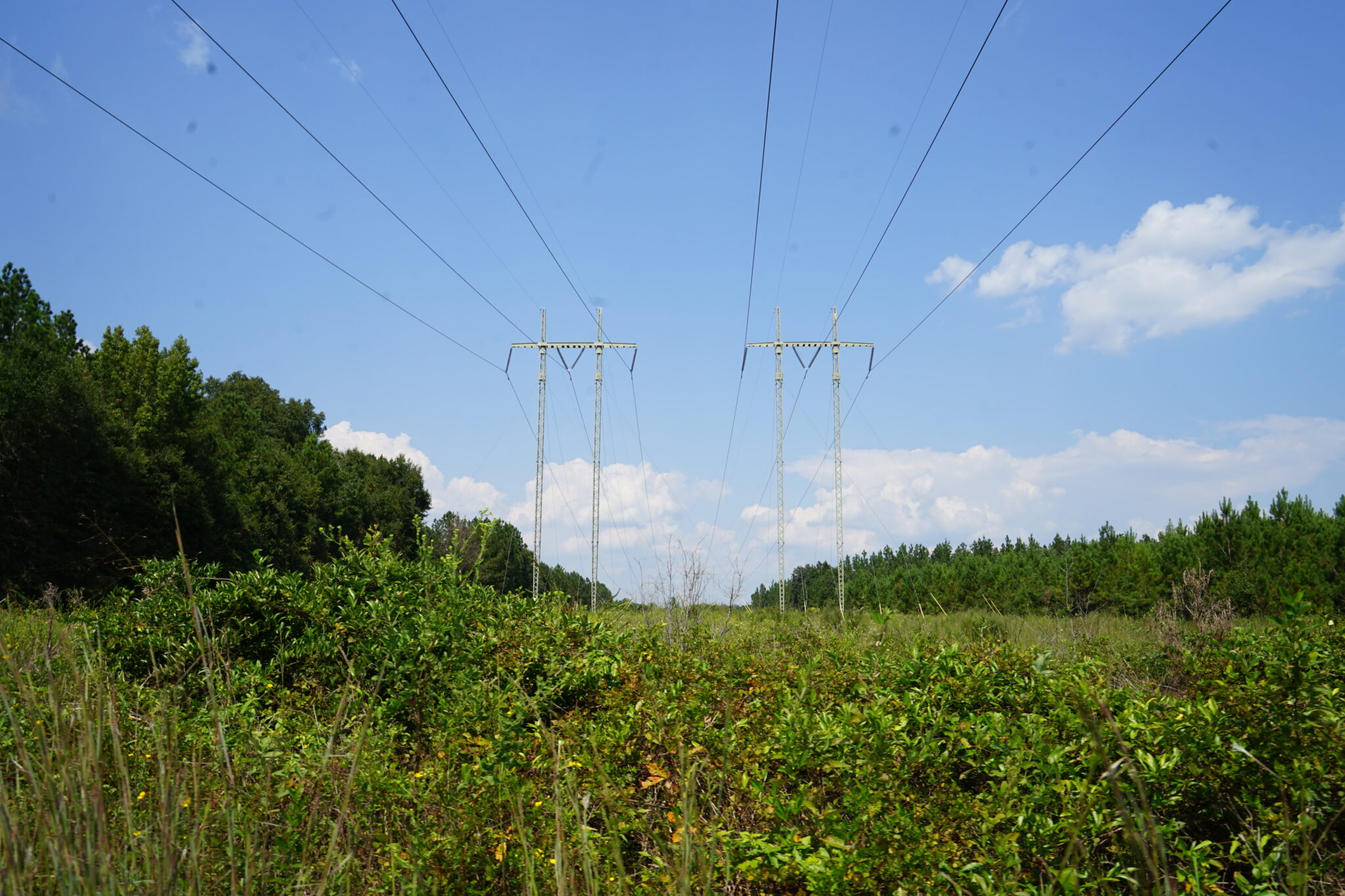 Environmental groups sue over Georgia Power’s energy expansion for data centers