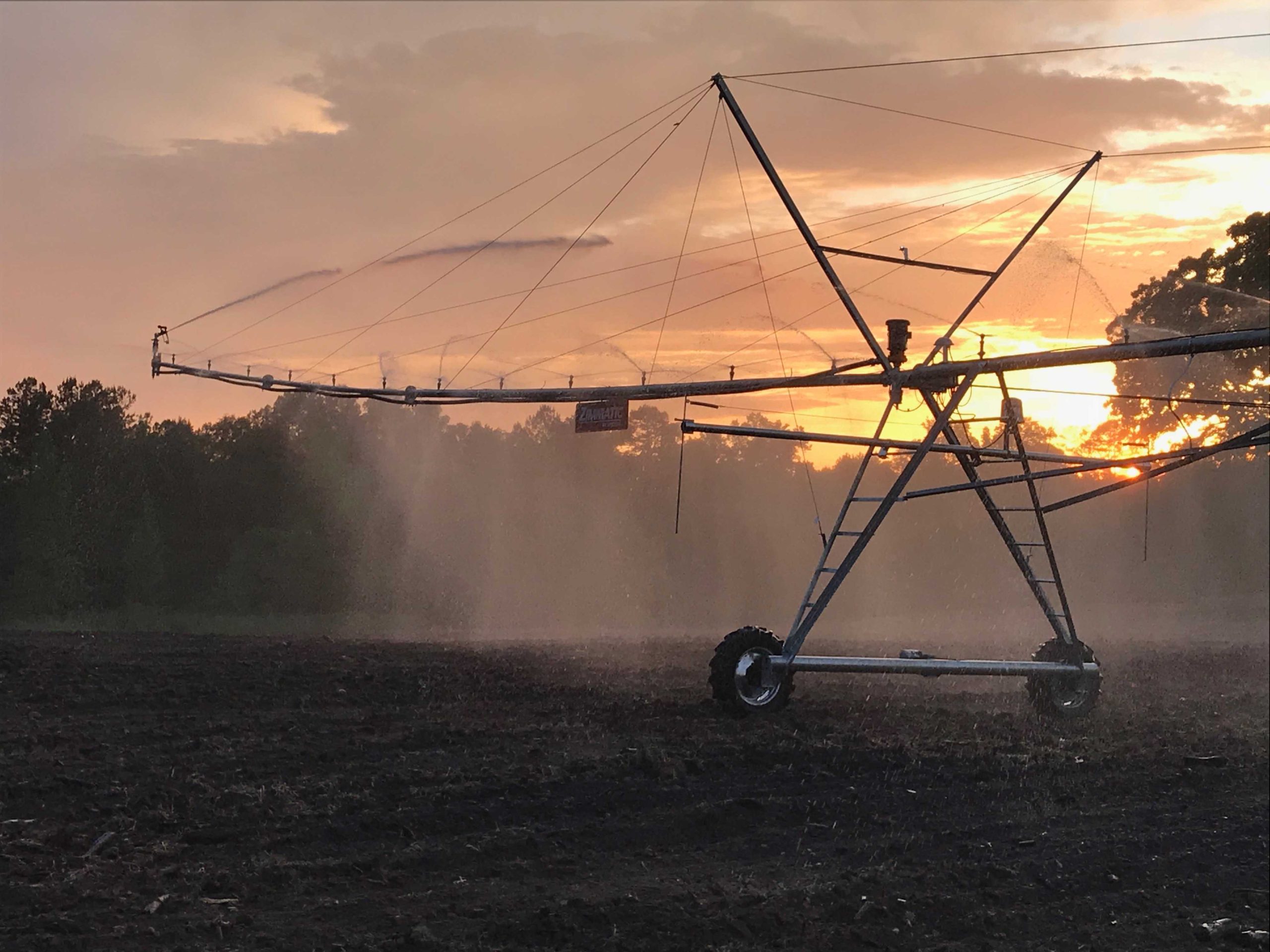 Georgia is losing farmland fast